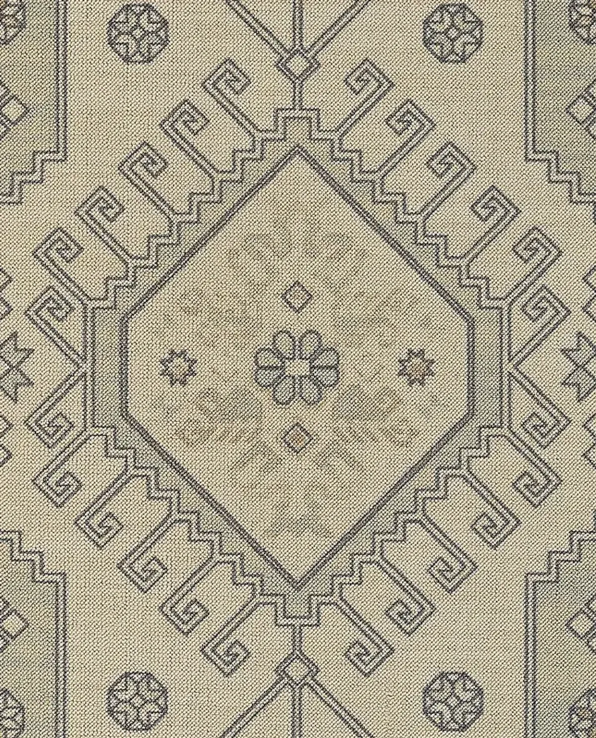 Ozcar Sage 6'6 x 9' Rug