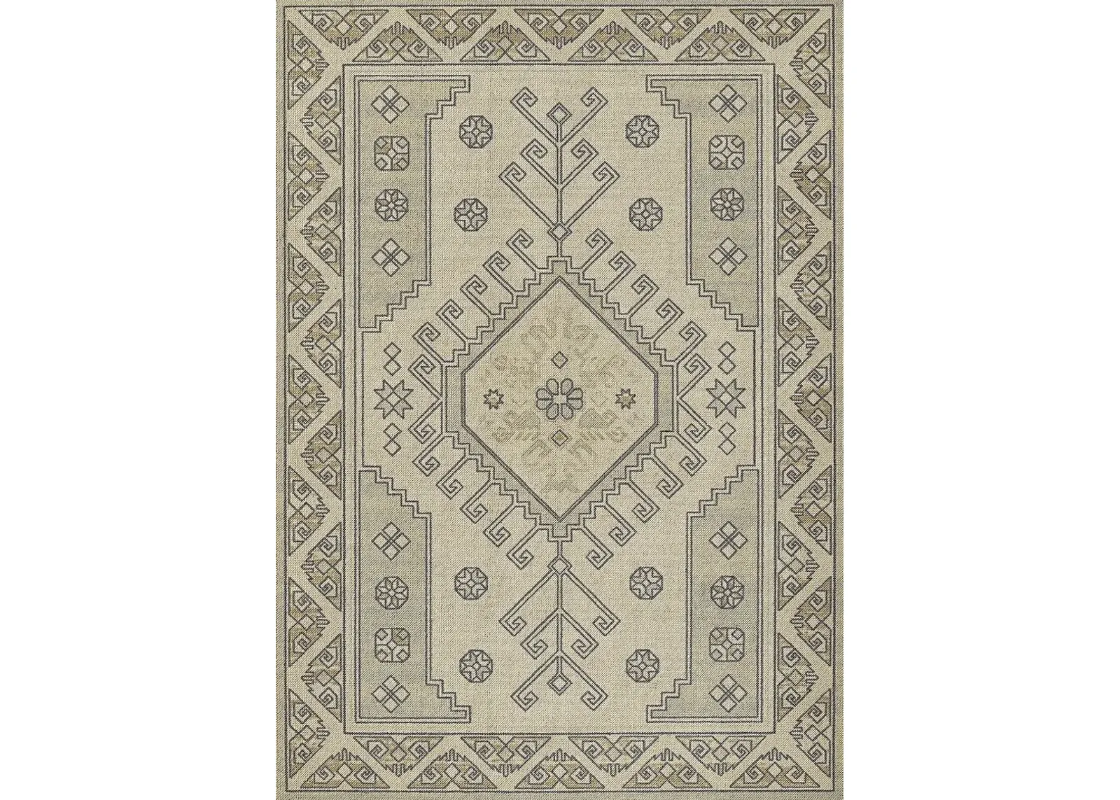 Ozcar Sage 6'6 x 9' Rug