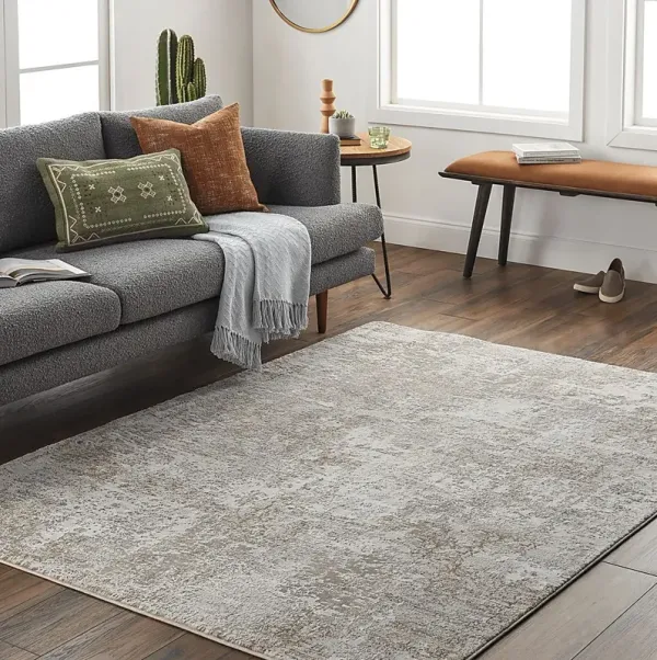 Lazto Light Gray 7'10 x 10'2 Rug