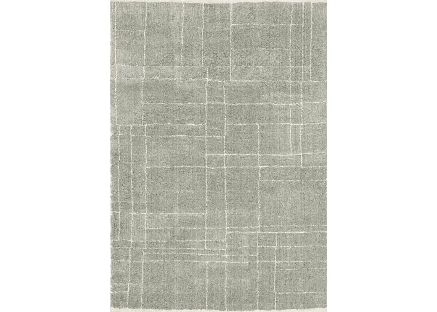 Ecto Park Gray 7'10 x 10'10 Rug