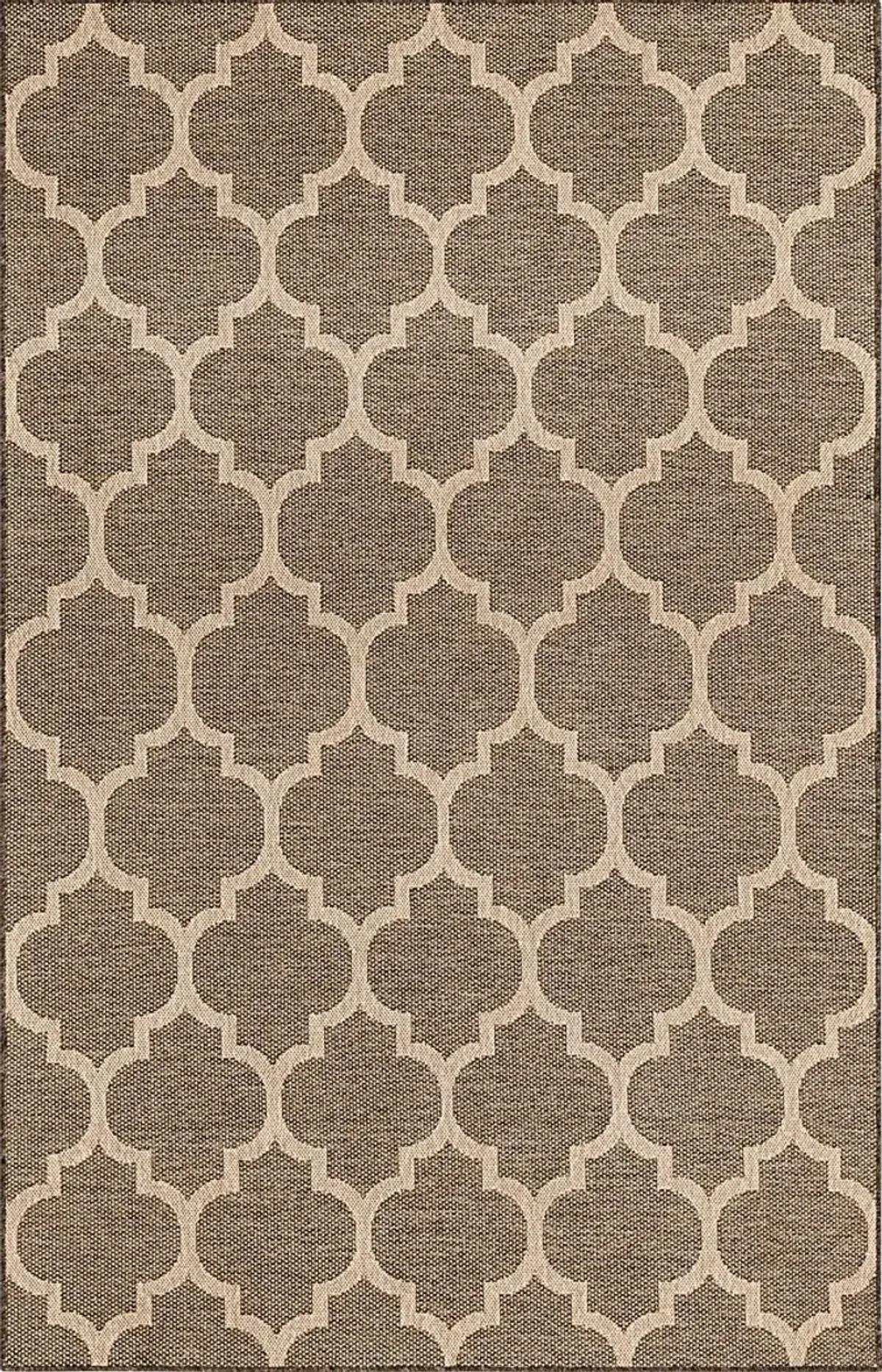 Oshrat Brown 9'2 x 12' Rug