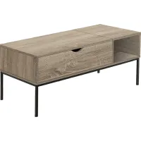 Woodglynn Taupe Lift Top Cocktail Table