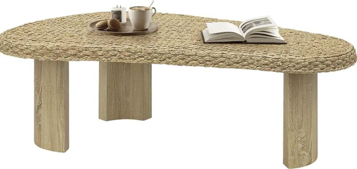 Senbu Brown Coffee Table