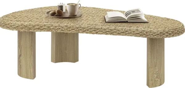 Senbu Brown Coffee Table