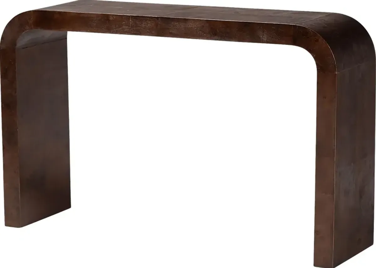 Driftfruit Dark Brown Console Table
