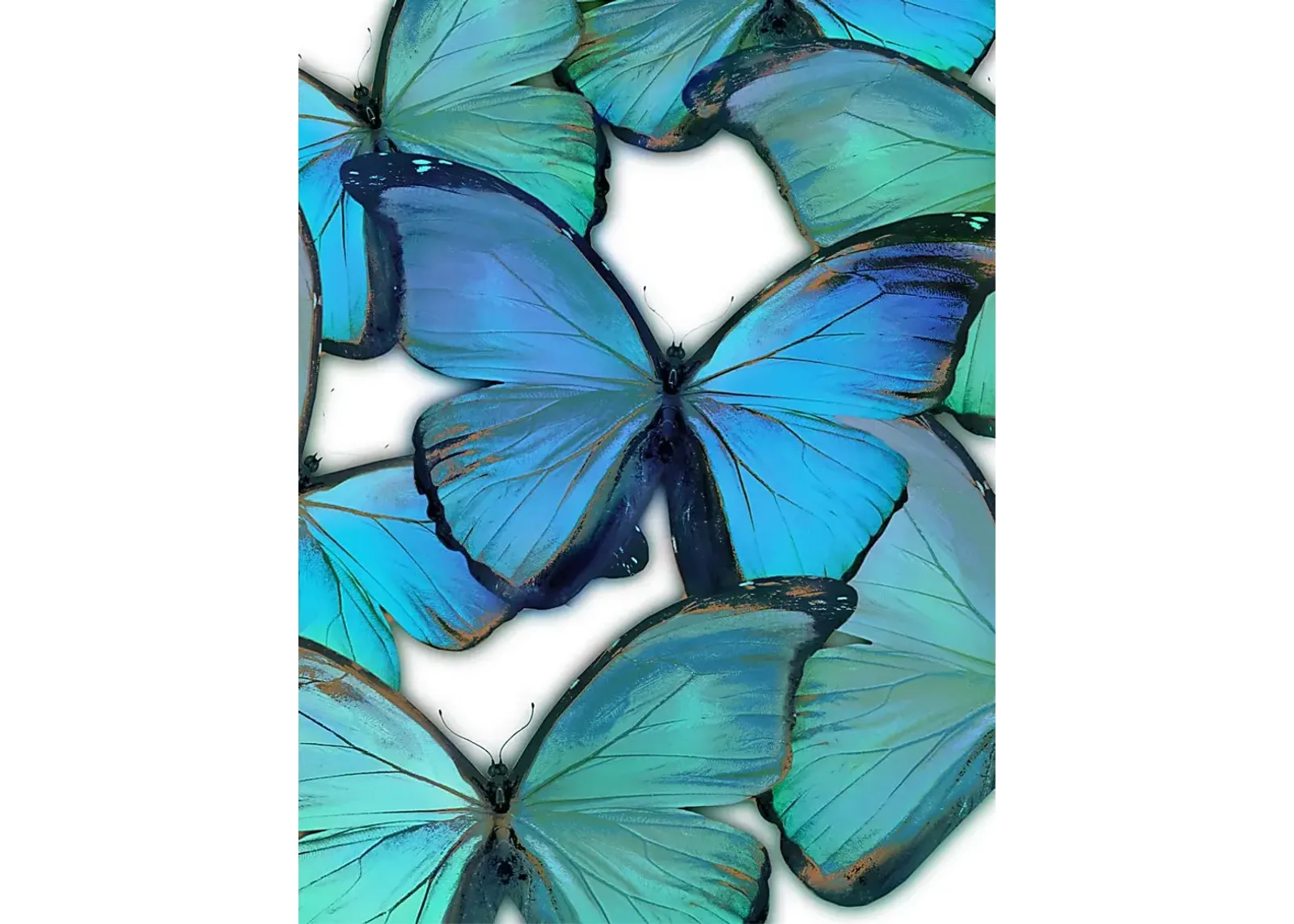 Kids Magic Butterfly I Green Canvas Wall Art