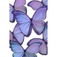 Kids Magic Butterfly II Purple Canvas Wall Art