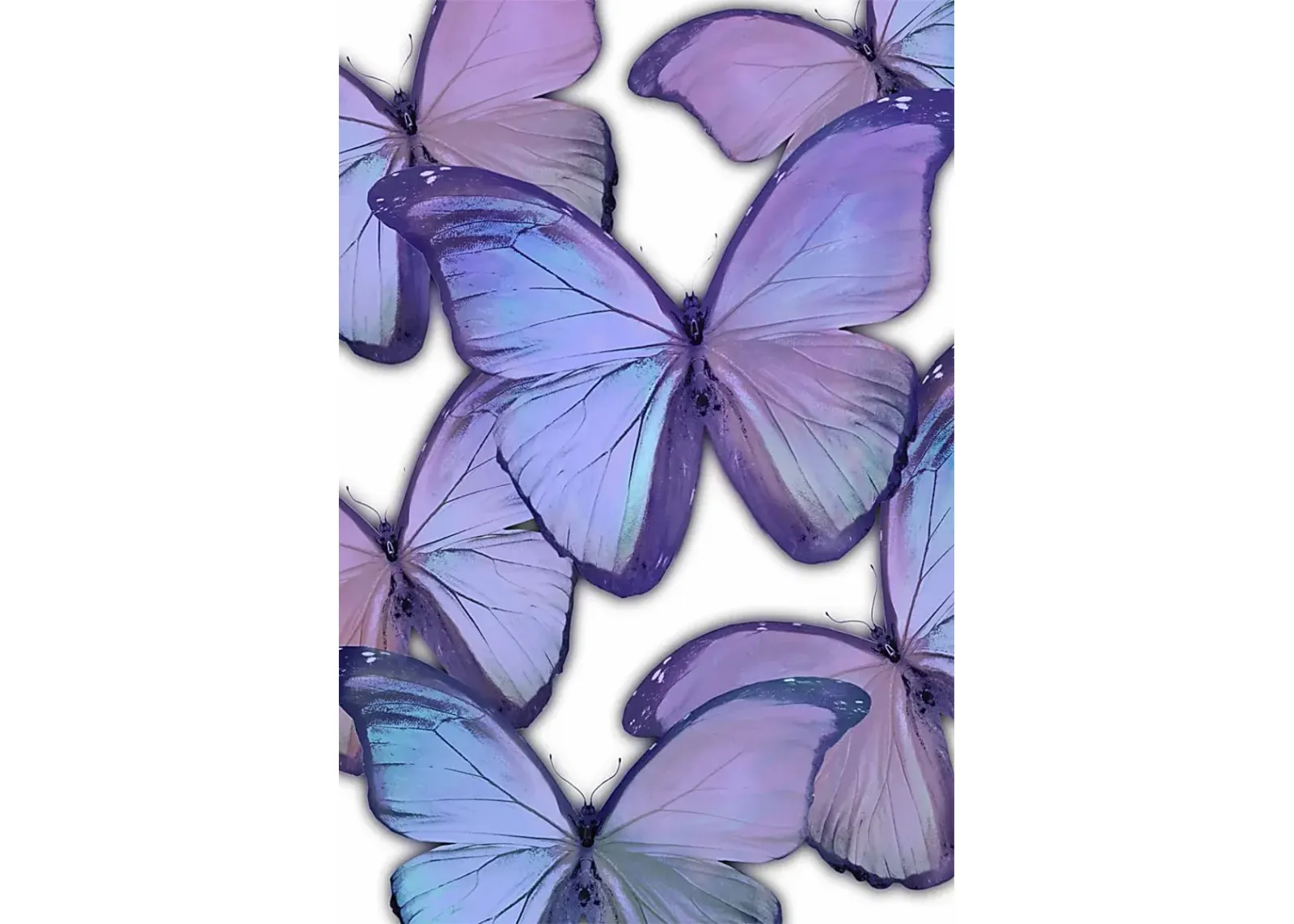 Kids Magic Butterfly II Purple Canvas Wall Art