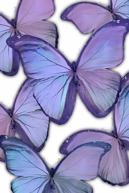Kids Magic Butterfly II Purple Canvas Wall Art