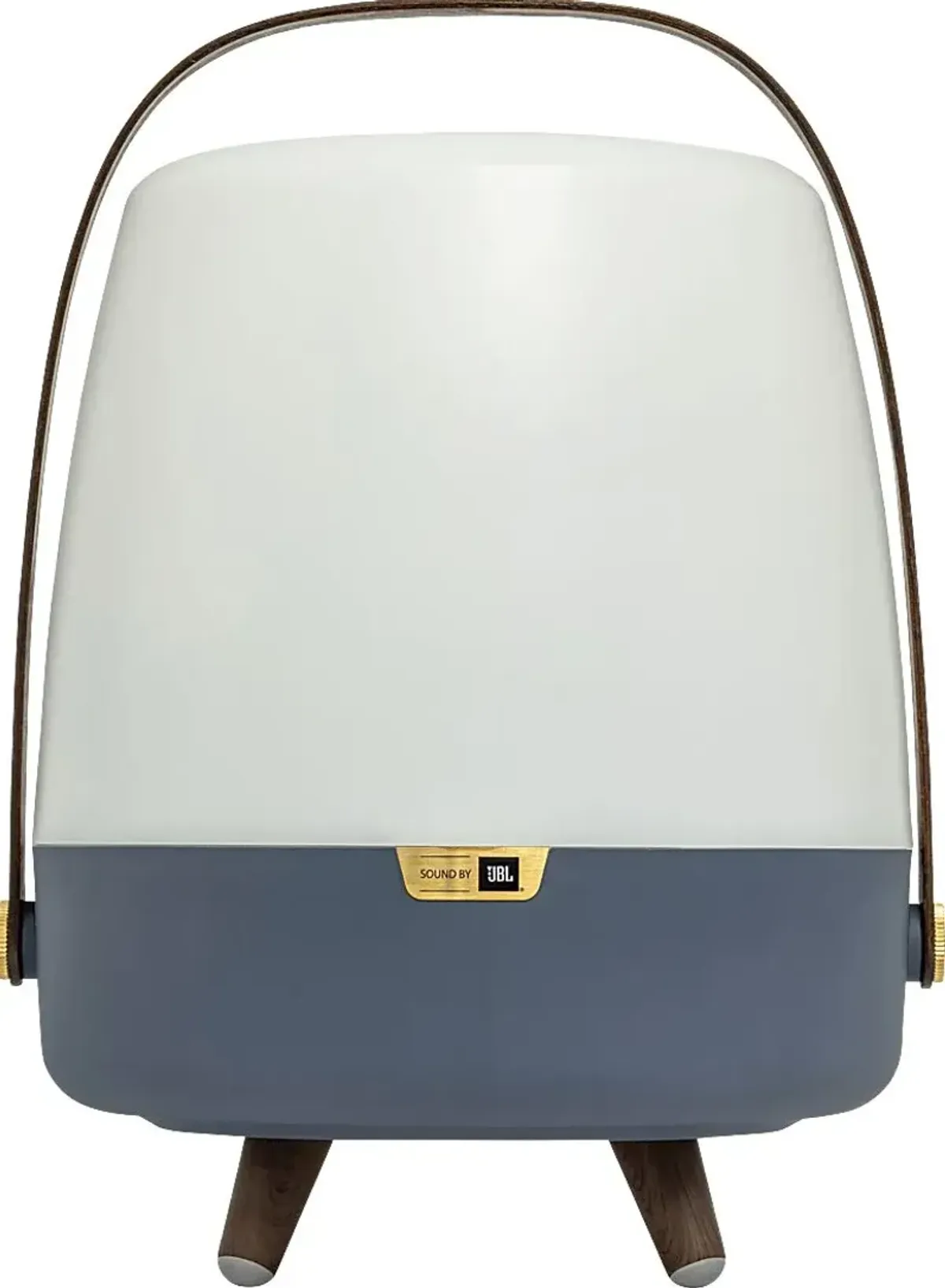 Buzzylectrics Large Blue Outdoor Lamp