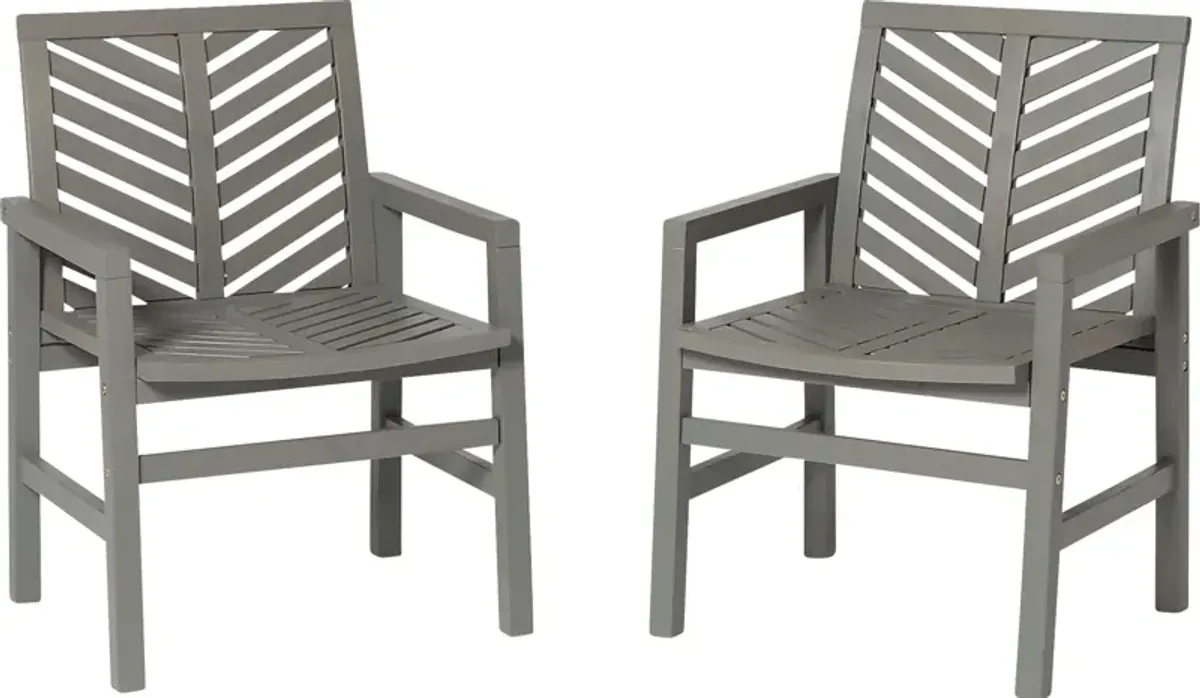 Honeytree Gray Outdoor Accent Chair, Set of 2