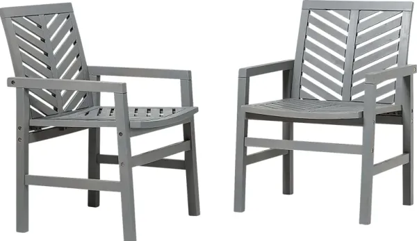 Honeytree Gray Outdoor Accent Chair, Set of 2