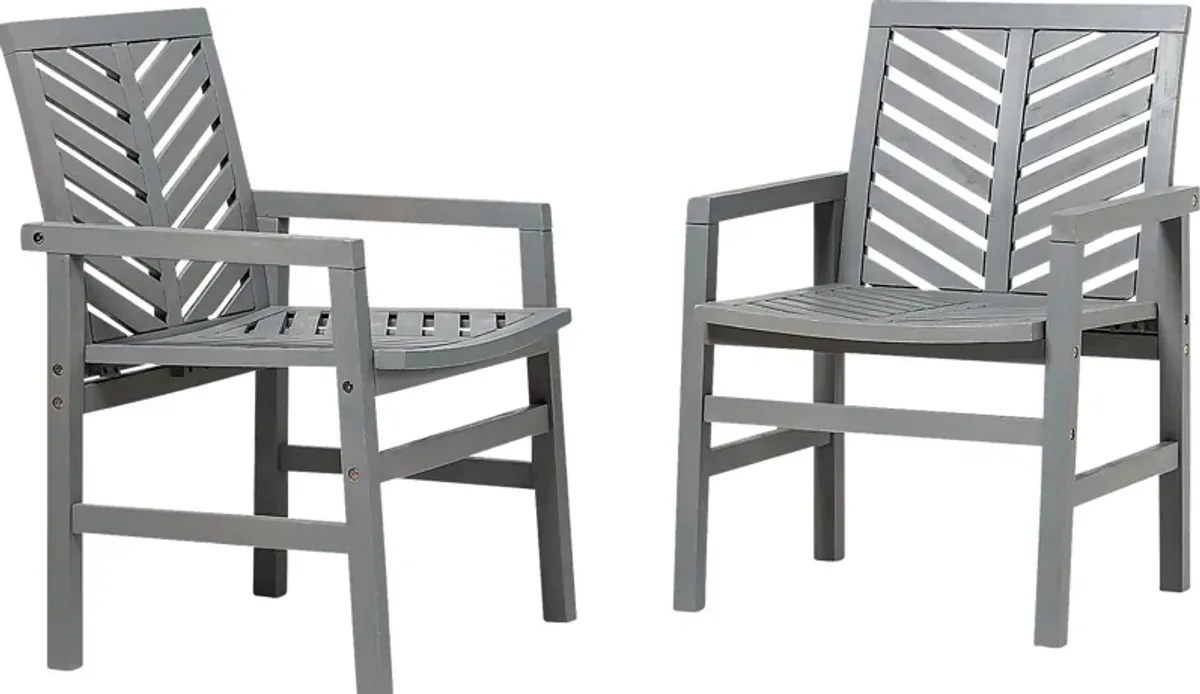 Honeytree Gray Outdoor Accent Chair, Set of 2