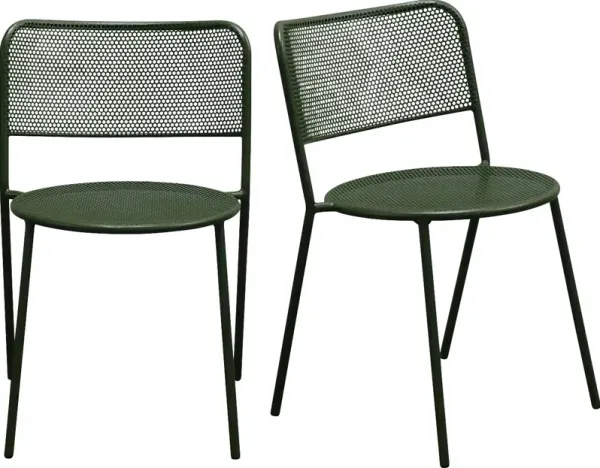 Outdoor Sherwoody Green Dining Chair, Set of 2