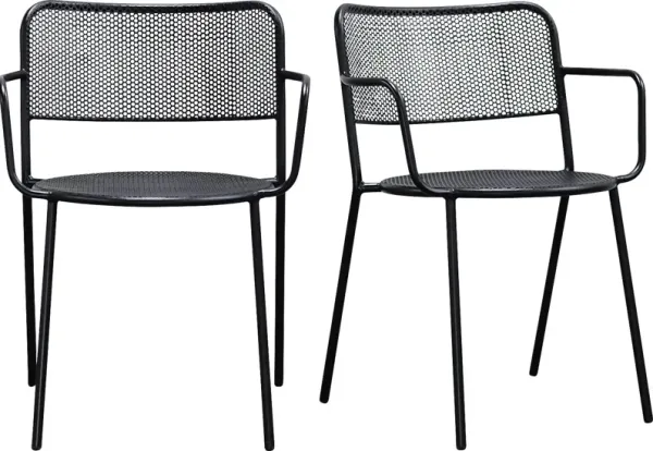 Outdoor Sherwoody Black Arm Chair, Set of 2