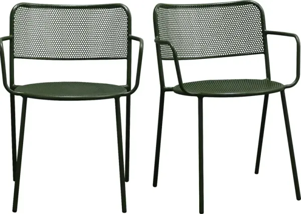 Outdoor Sherwoody Green Arm Chair, Set of 2