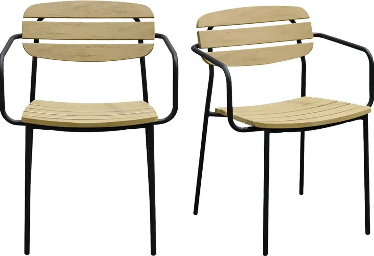 Outdoor Rufiny Brown Arm Chair, Set of 2