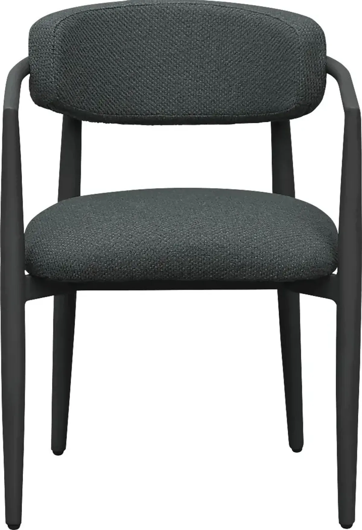 Outdoor Fryburg Black Arm Chair