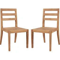 Outdoor Bacheller I Natural Dining Chair, Set of 2
