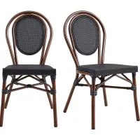 Outdoor Gately Brown Dining Chair, Set of 2