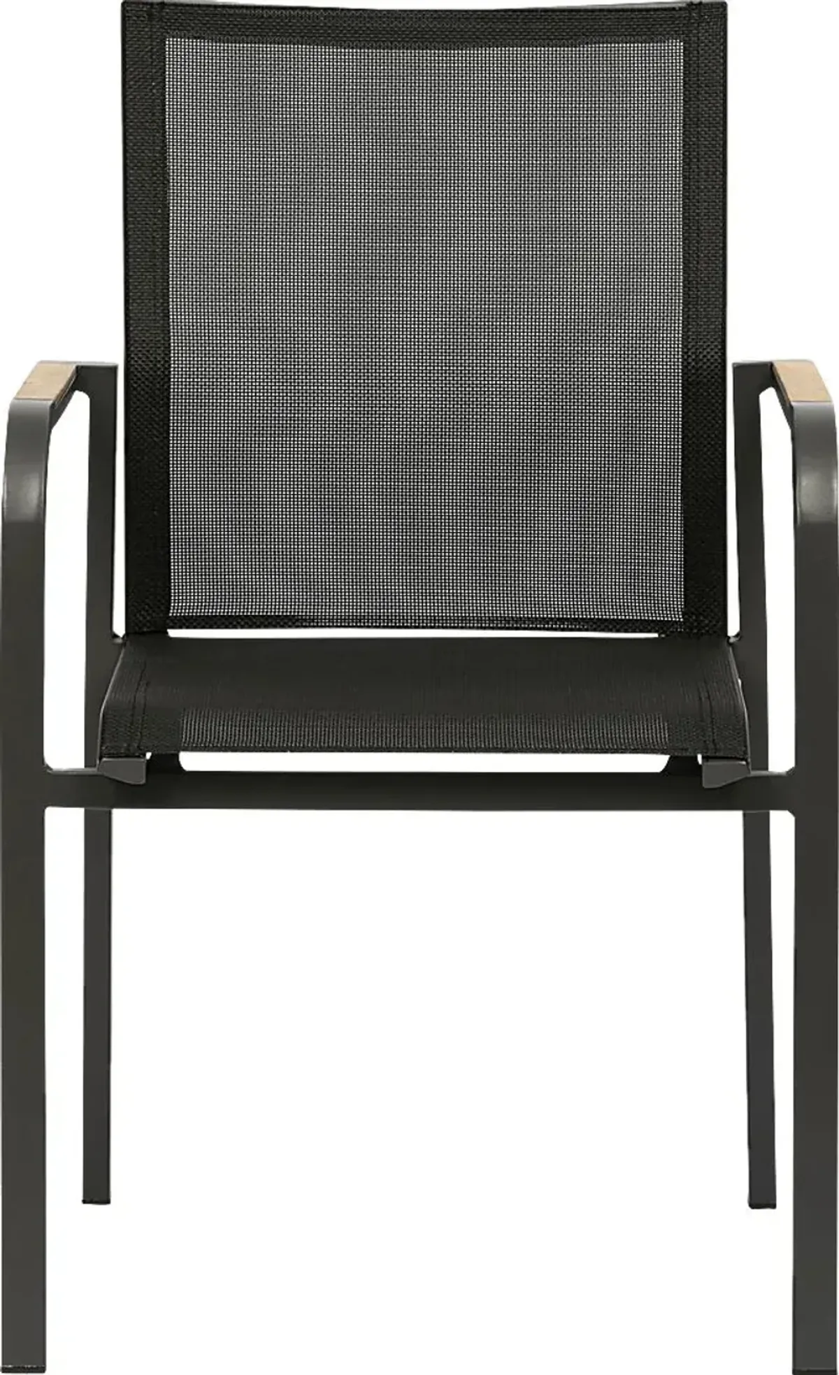 Outdoor Hollingshed Black Arm Chair, Set of 2