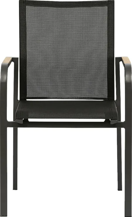 Outdoor Hollingshed Black Arm Chair, Set of 2