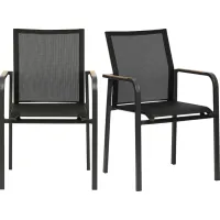 Outdoor Hollingshed Black Arm Chair, Set of 2