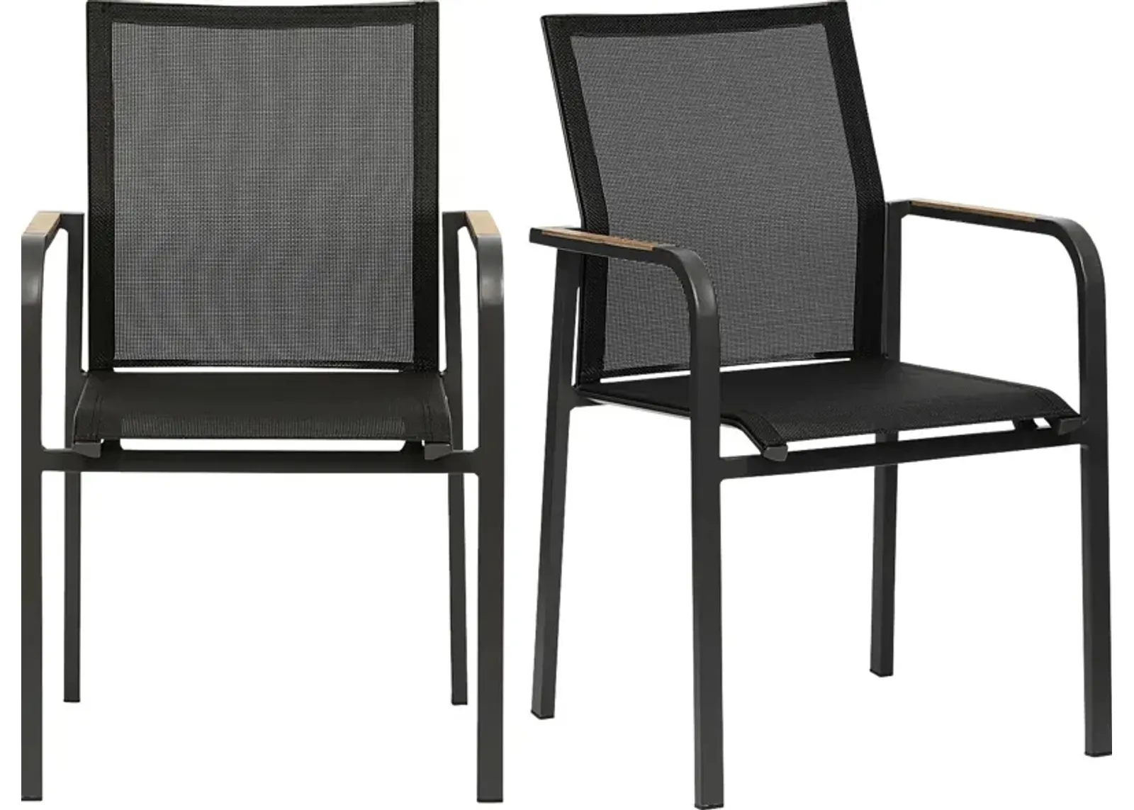 Outdoor Hollingshed Black Arm Chair, Set of 2