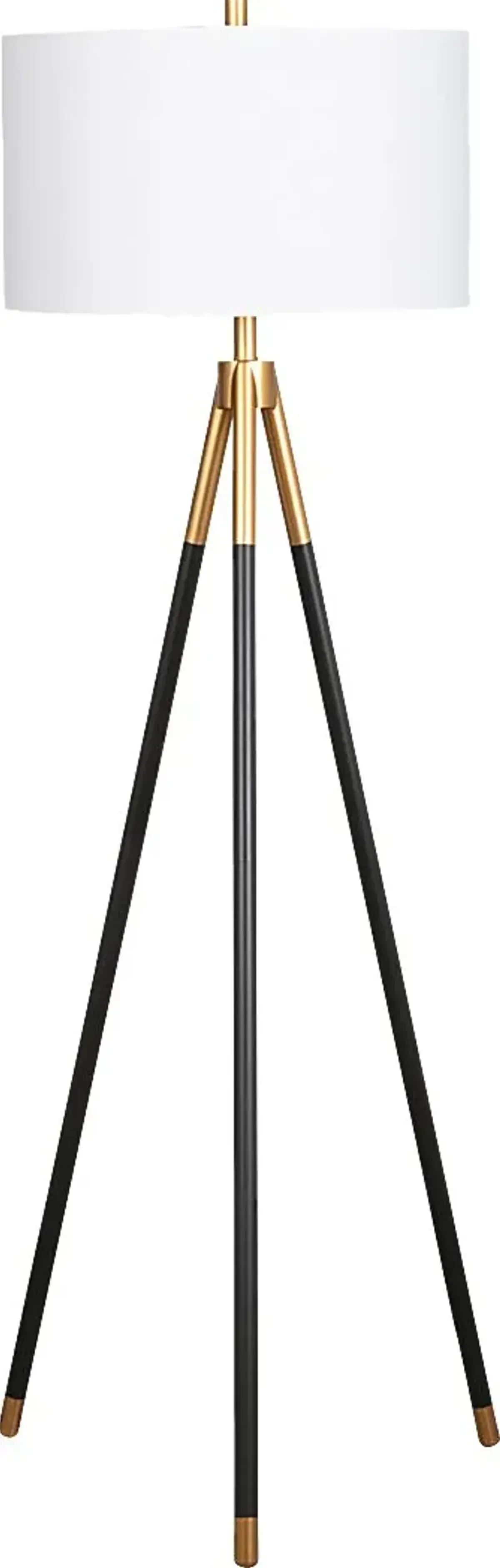 Evans Circle Black Floor Lamp