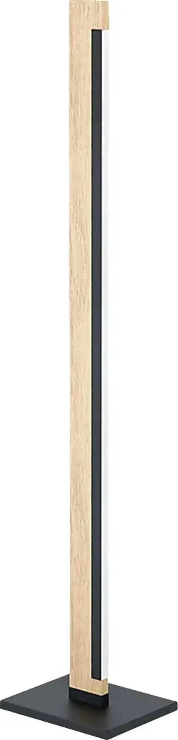 Brad View Black Floor Lamp