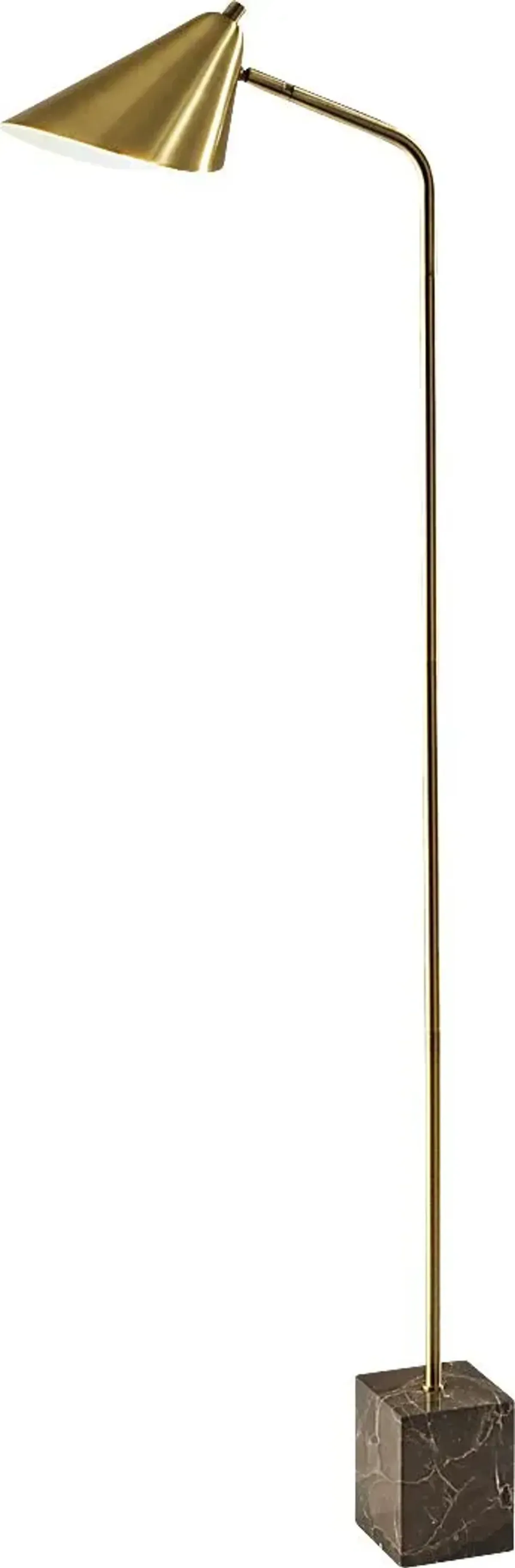 Cambrian Way Brass Floor Lamp