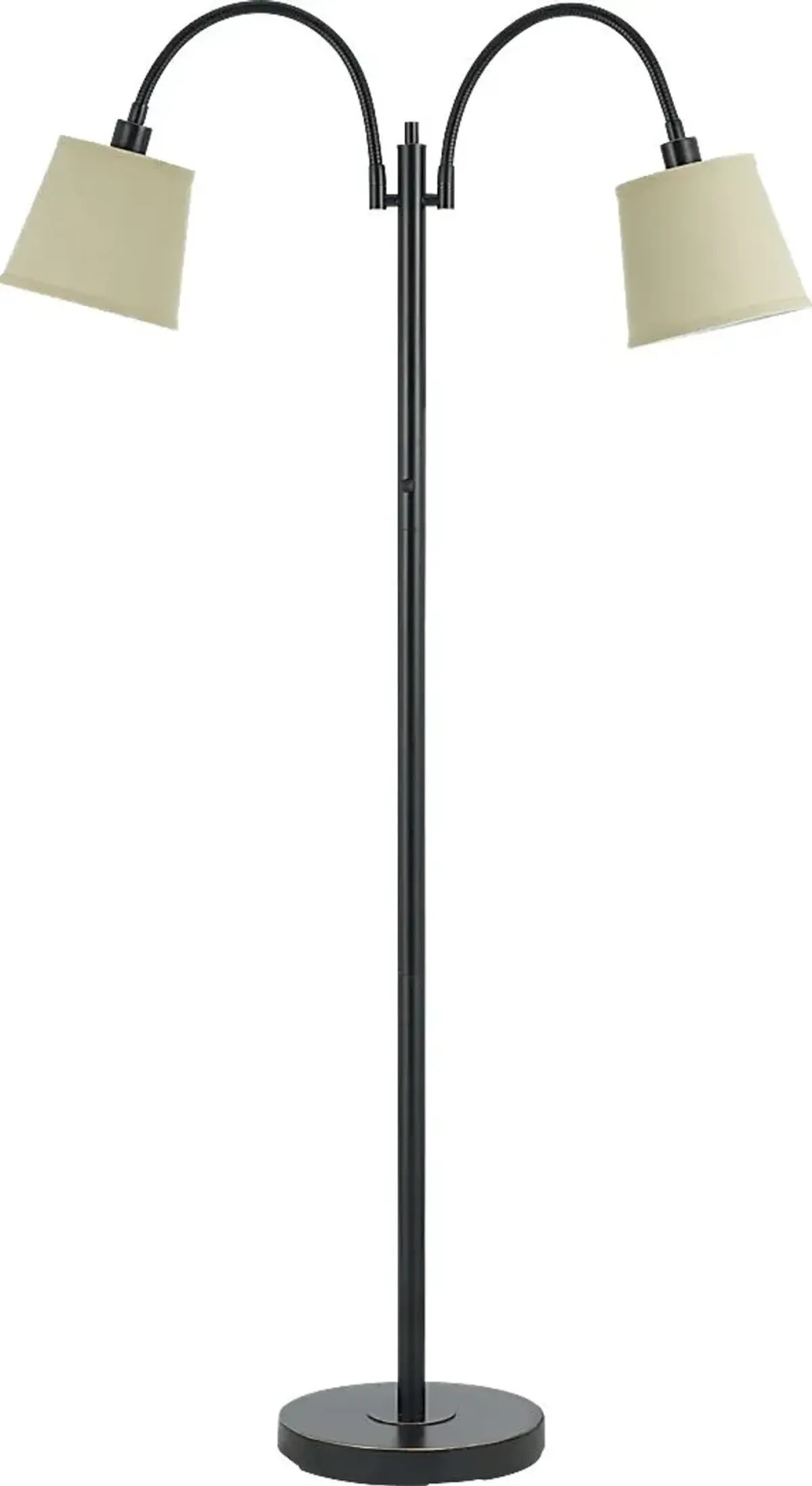 Kinhawk Bronze Floor Lamp