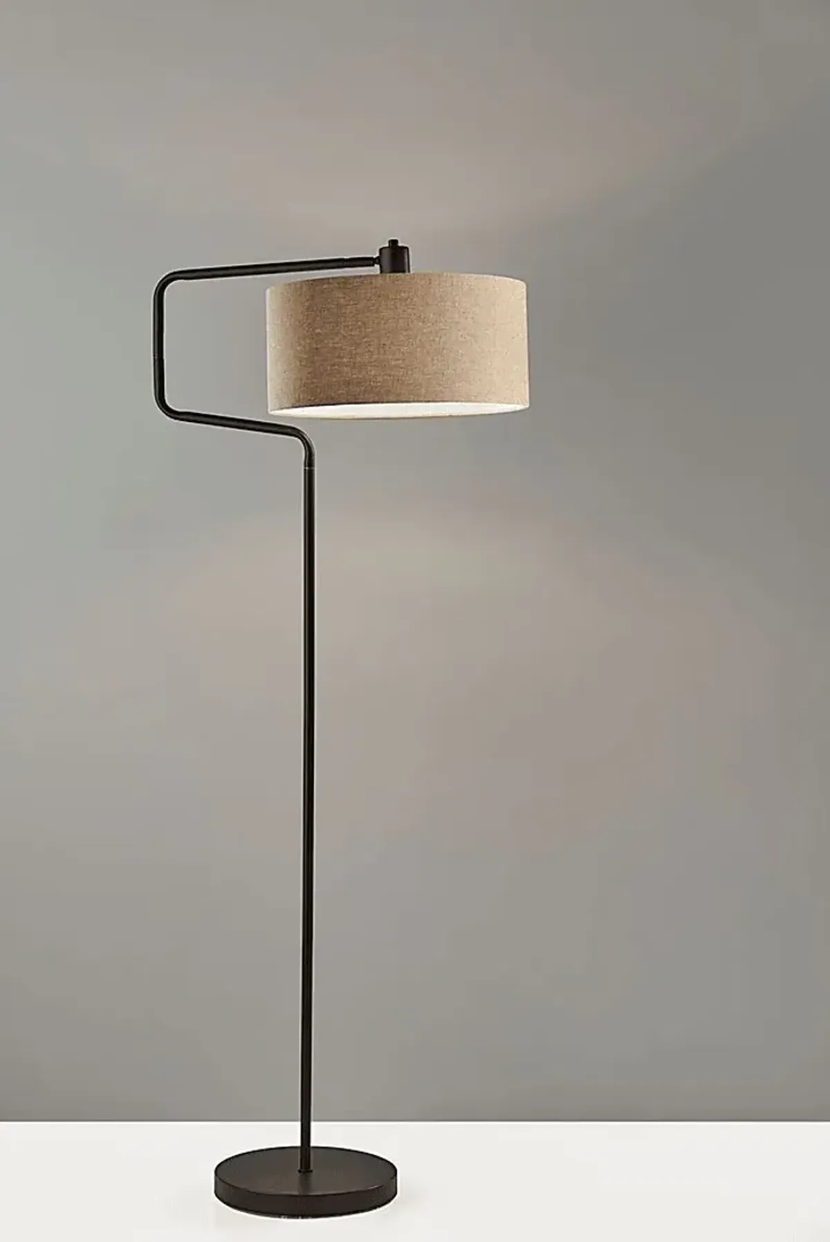 Lariat Circle Bronze Floor Lamp