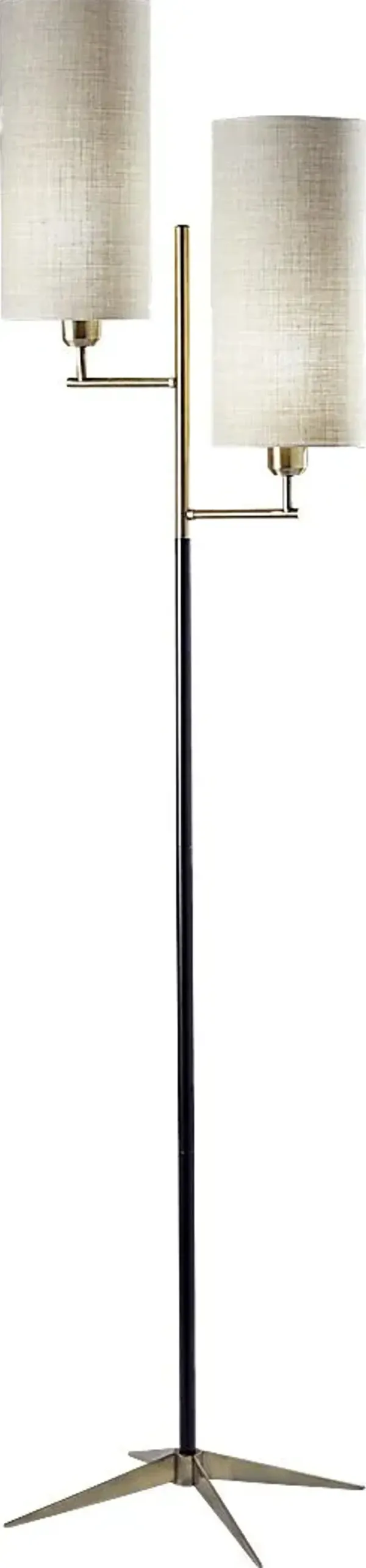 Fairwood Black Floor Lamp