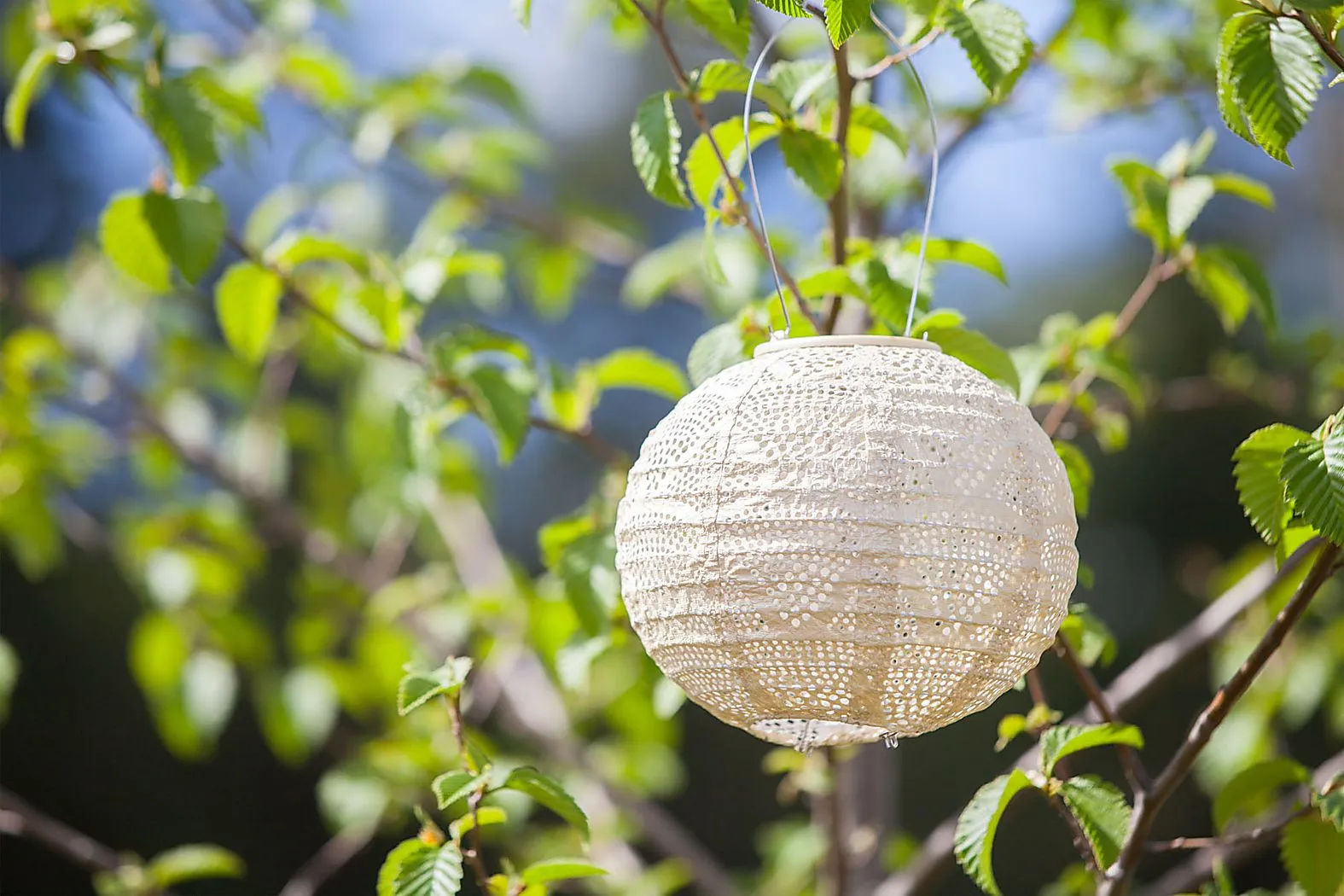 Bombora Pearl Outdoor Solar Lantern