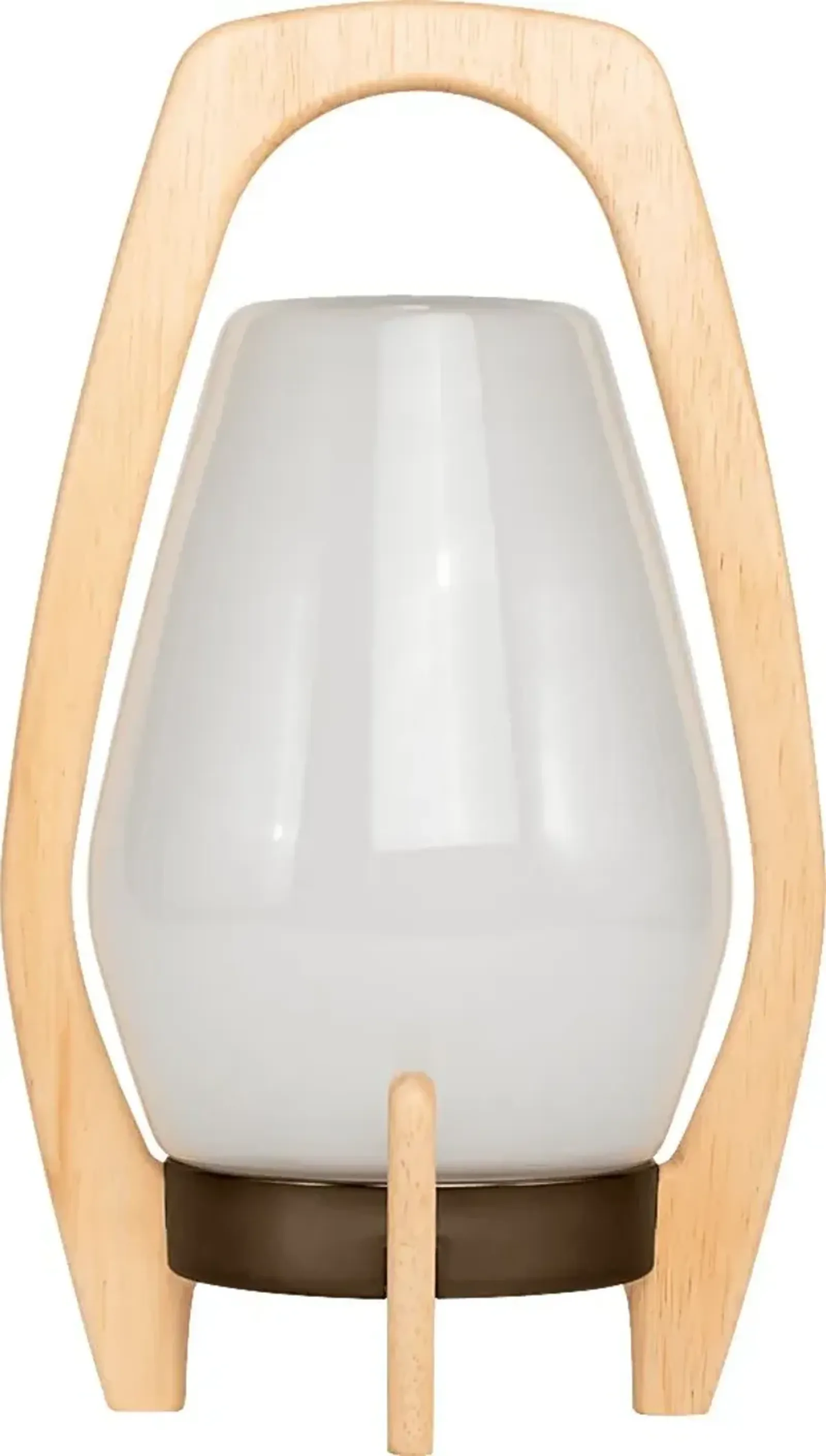 Arilis Farm Indoor/Outdoor White Lantern