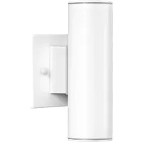 Faraday Summit White Outdoor Sconce