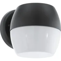 Tallow Circle Black Outdoor Sconce