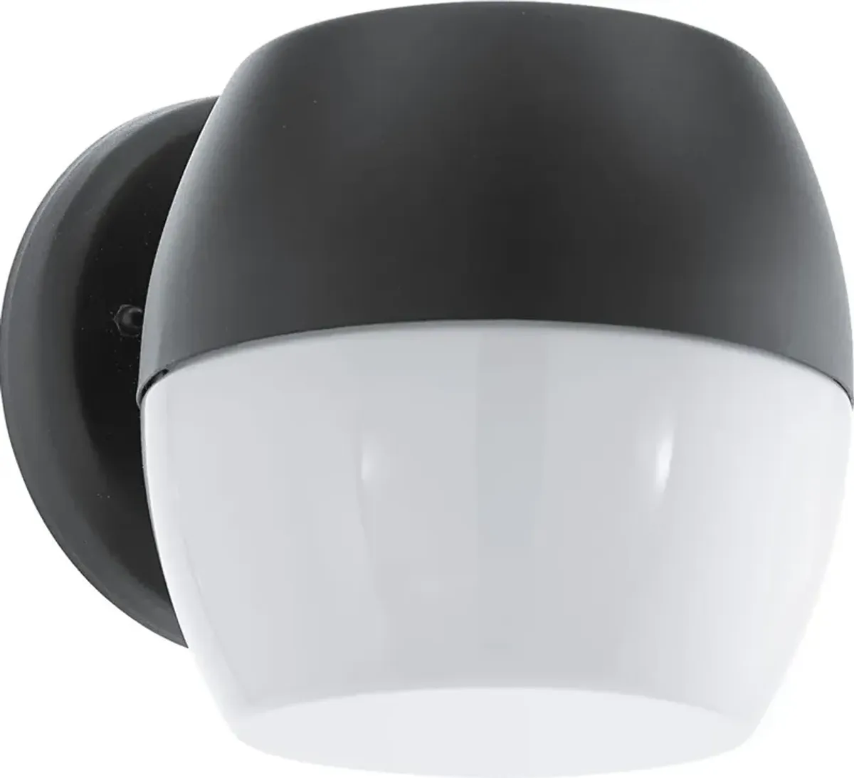 Tallow Circle Black Outdoor Sconce