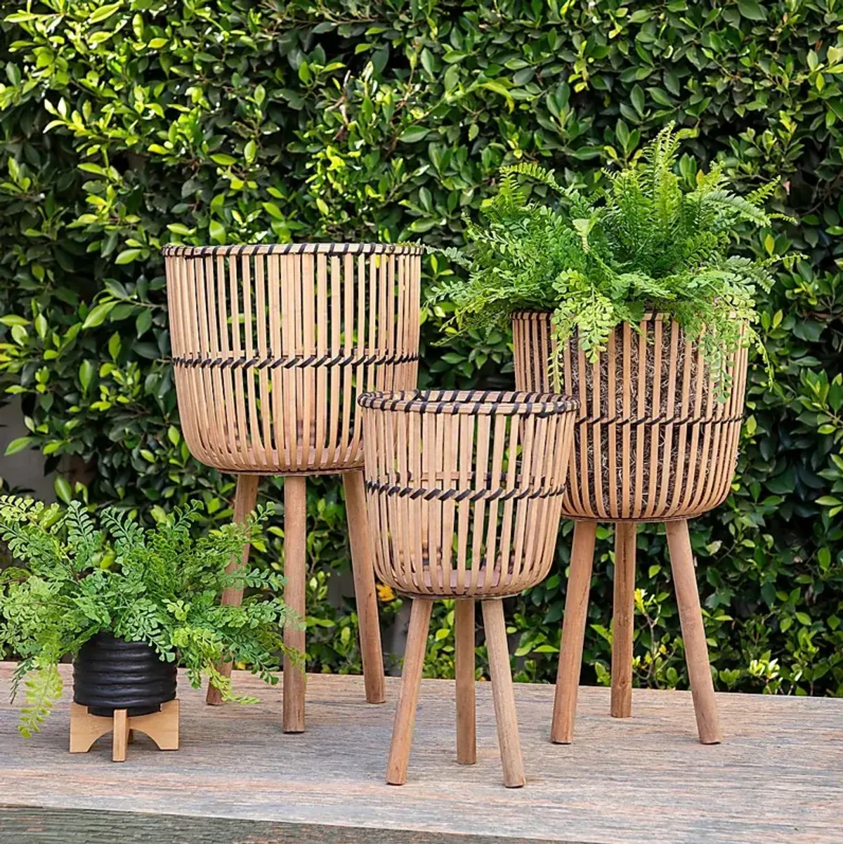 Waldburg Brown Planter, Set of 3