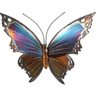 Graceful Butterfly III Multi Outdoor Artwork
