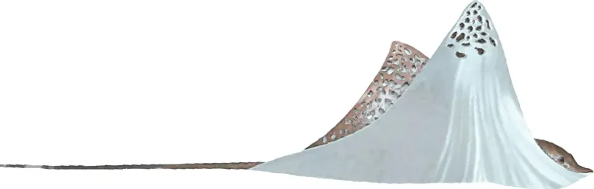 Solo Sting Ray Silver Outdoor Wall Art