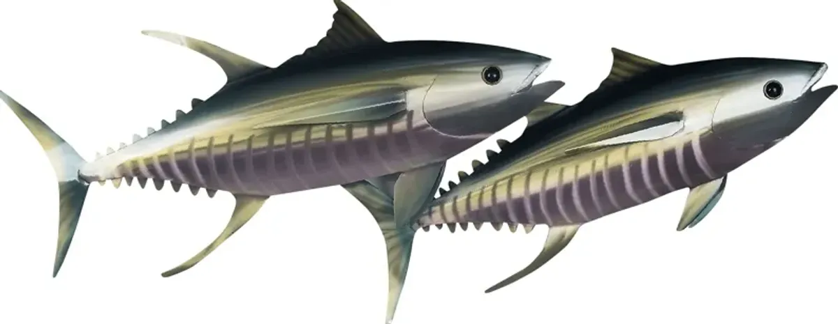 Tuna Pair Silver Indoor/Outdoor Wall Art