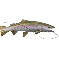 Fishing For Trout Green Wall Art