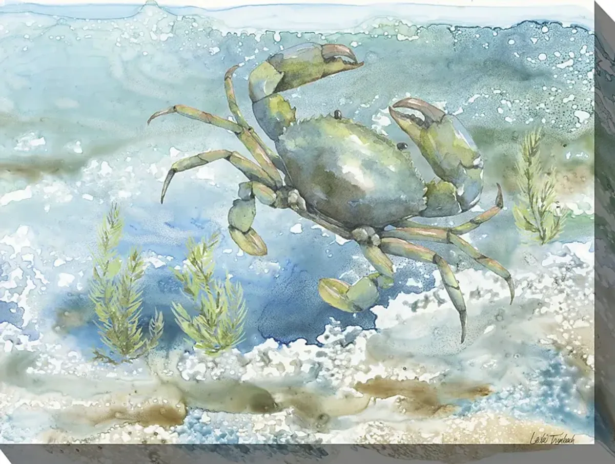 Sea Life Crab Aqua Indoor/Outdoor Wall Art