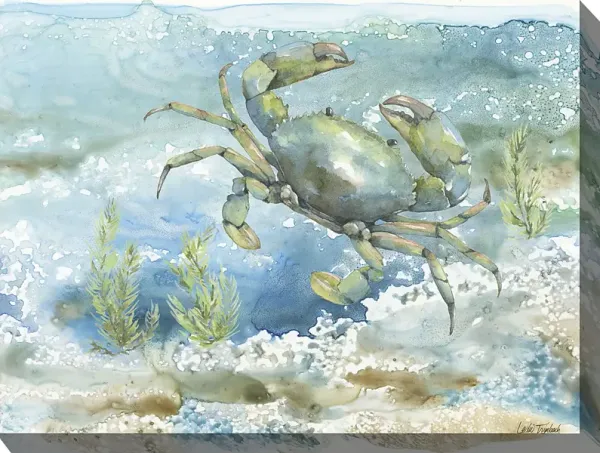 Sea Life Crab Aqua Indoor/Outdoor Wall Art