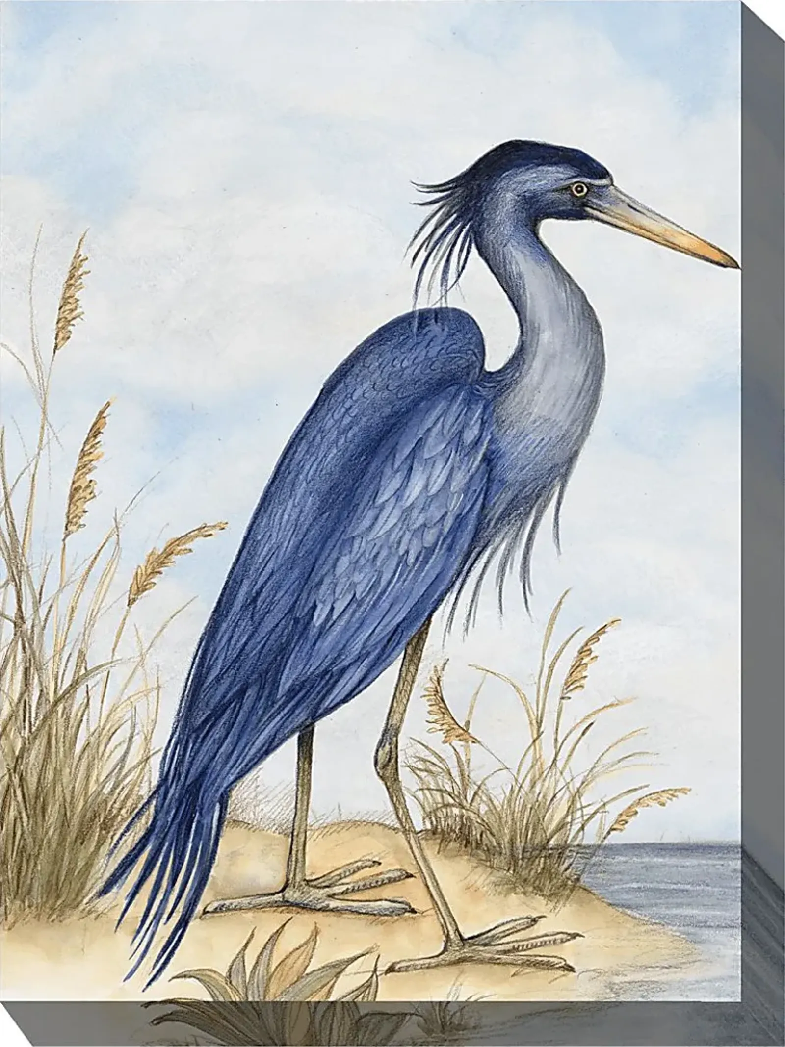 Great Blue Heron Outdoor/Indoor Wall Art