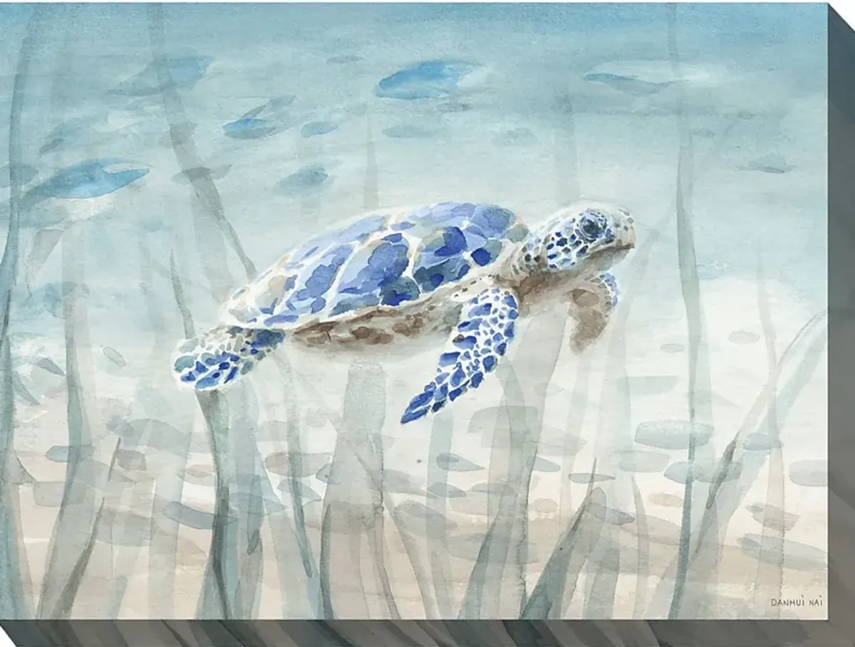 Sea Cruiser Outdoor/Indoor Wall Art