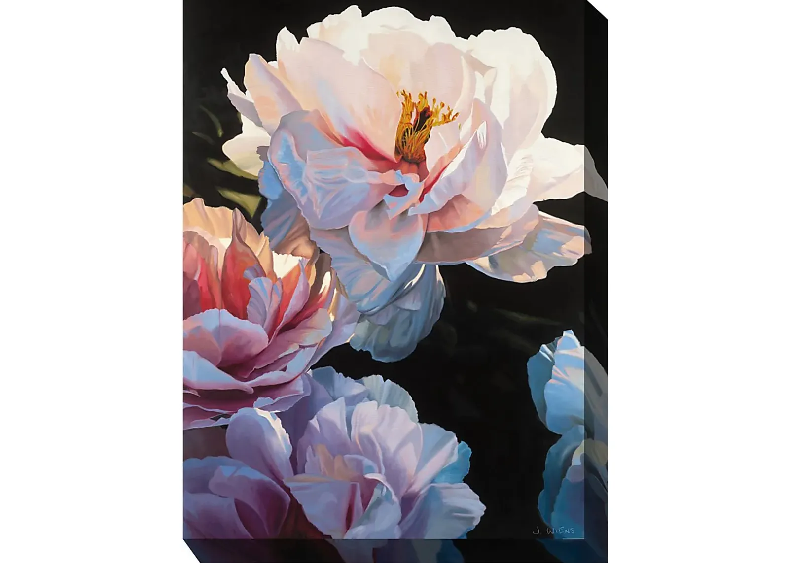 Blushing Blooms Outdoor/Indoor Wall Art by Rooms To Go