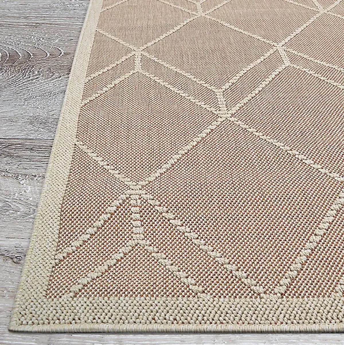 Tamiya Terracotta 5'3 x 7'6 Indoor/Outdoor Rug